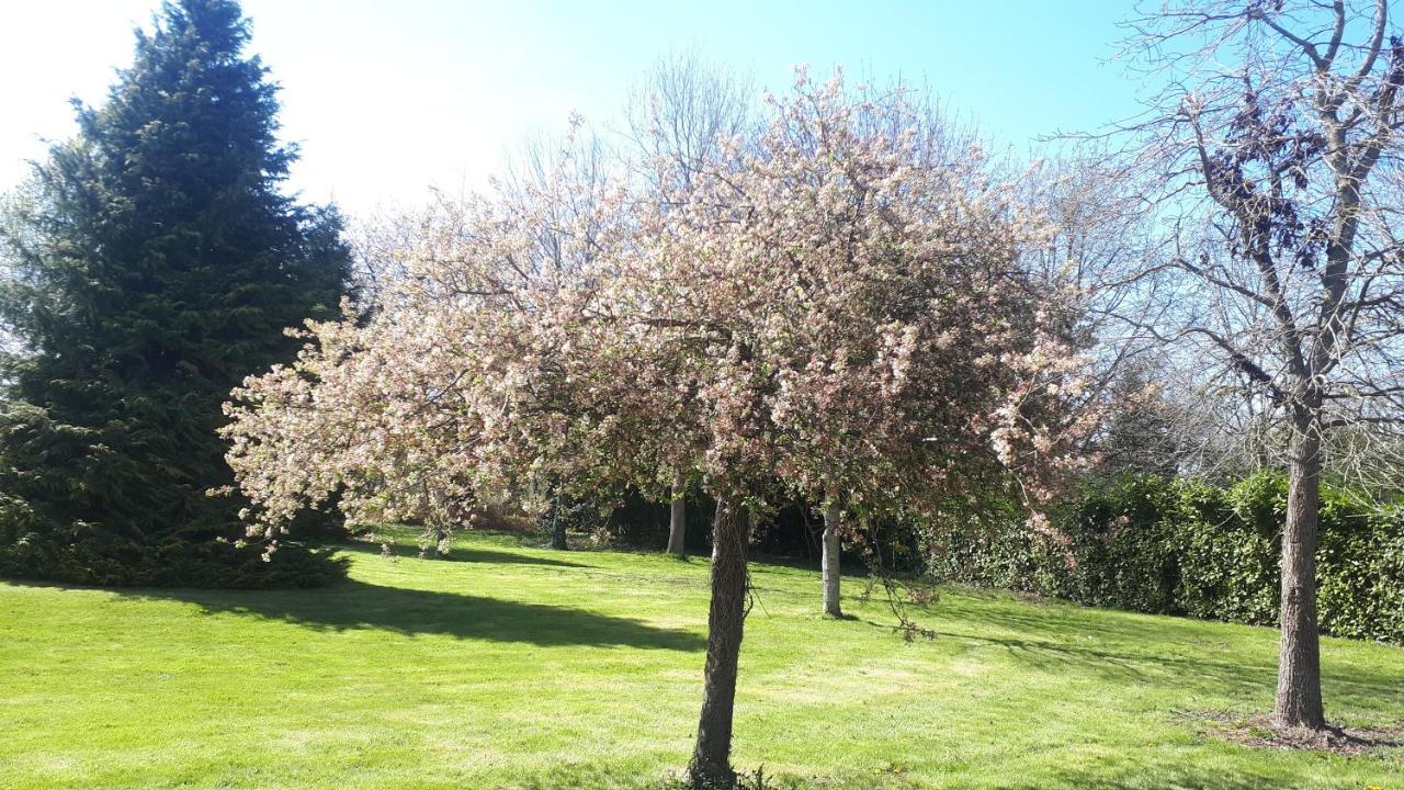 Gite De Bon Air Sens-de-Bretagne Eksteriør bilde